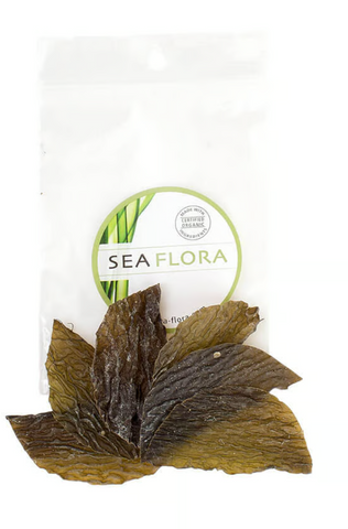 Seaweed Eye Patch