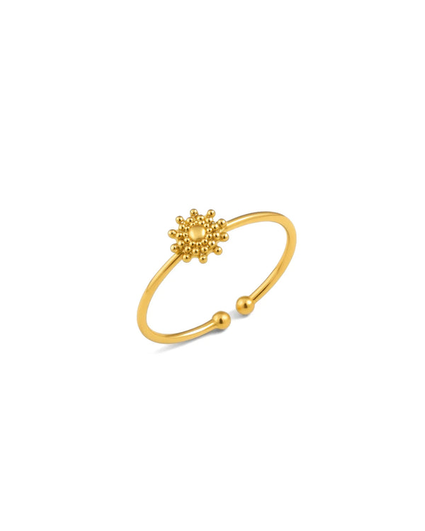 Adjustable Ring Golden Hour