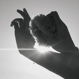 Natural Sea Sponge